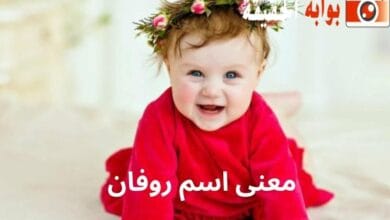 معنى اسم روفان