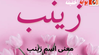 معنى اسم زينب