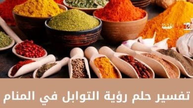 تفسير حلم رؤية التوابل في المنام بكل الحالات