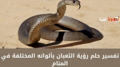 تفسير حلم رؤية الثعبان بألوانه المختلفة في المنام