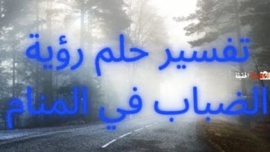 تفسير حلم رؤية الضباب في المنام لكل الحالات المتباينة
