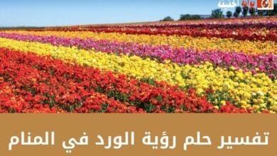 تفسير حلم رؤية الورد في المنام مستوفي المعلومات