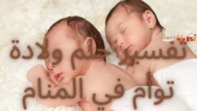 تفسير حلم ولادة توأم في المنام لدى جميع المفسرين